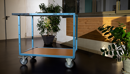 Sélection Chariots et Servantes FIMM