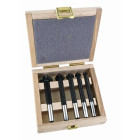 Jeu de fraisoirs, 5 pcs Ø 10,13,16,20,25mm, dans coffret de bois FAMAG - 1775.505