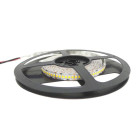 Ruban led 24v 5m smd2835 ip20 240led/m - couleur eclairage au choix
