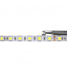 Ruban led 24v 5m smd5050 ip20 60led/m - couleur eclairage au choix