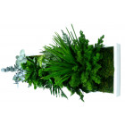 Tableau nature panoramic avec plantes stabilisées 20x72cm