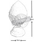 Pomme de pin en pierre reconstituée sur socle