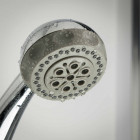 Tiger Pomme de douche à main Genova Chromé 540240344