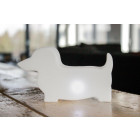 Chien lumineux micro à poser led