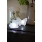 Papillon lumineux micro à poser led