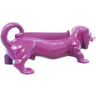 Aubergine