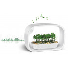 Lampe led ludique avec jardinière intégrée et enceinte bluetooth 50 led