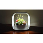Lampe led ludique avec jardinière intégrée