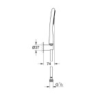Grohe 27383000 Rainshower Icon 100 Douchette à main