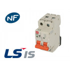 Disjoncteur modulaire bkn 6a 2p