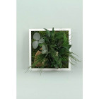 Tableau nature mono avec plantes stabilisées