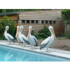 Pélican debout en résine 84 cm