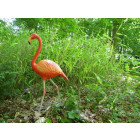 Flamant rose en résine 98 cm