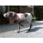 Chien de chasse pointer en résine 130 cm