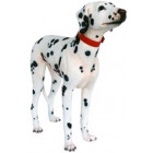 Dalmatien en résine 93 cm