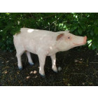 Cochon tête droite en résine 96 cm