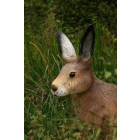 Lièvre assis en résine 60 cm