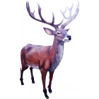 Cerf adulte en résine taille réelle