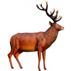 Cerf adulte patriarche en résine 116 cm