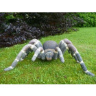 Araignée géante en résine 92 cm