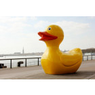 Canard géant en résine 165 cm