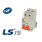 Disjoncteur modulaire 16a 2p (courbe d)