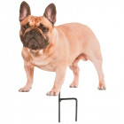 Chat et chien sur pique (lot de 2)