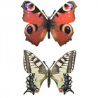Décoration murale papillon (lot de 2)