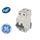 Disjoncteur modulaire ge 20a 2p