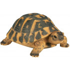 Tortue hermann en résine grand modèle
