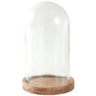 Cloche verre et manguier