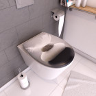 Abattant wc - thermodur et double frein de chute - pencil Aurlane - 700839