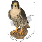 Faucon pèlerin en résine 26 cm