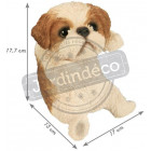 Bébé shih tzu jouant 18 cm