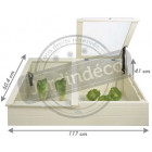 Serre de jardin en pin 41 cm de hauteur blanc