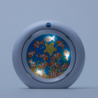 Claessens'kids veilleuse kid'sleep my aquarium blanche