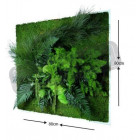 Tableau nature carré xl avec plantes stabilisées 80x80cm