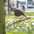 Oiseau à planter rouge gorge en acier corten Oiseau à planter rouge gorge en acier corten