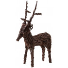 Cerf sur pied