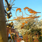 Oiseaux sur pique couple de moineaux en acier corten hauteur 28cm