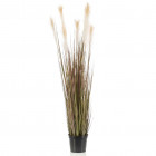 Herbe de pampa artificielle 120 cm en pot en plastique