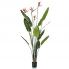 Plante artificielle strelitzia avec 4 fleurs en pot 150 cm