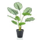 Calathea orbifolia artificiel 45 cm en pot