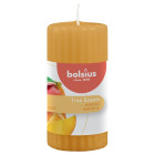 Bougies parfumées pilier côtelées 6 pcs 120x58 mm mangue