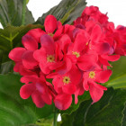 Plante hortensia artificielle avec pot 60 cm rouge