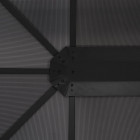Tonnelle avec toit Aluminium 4x3x2,6 m Noir