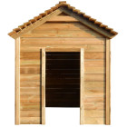  Maisonnette d'extérieur 120x120x146 cm Bois de pin