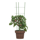 Supports pour plantes de jardin 3 anneaux 5pcs vert 60 cm acier