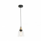 Suspension transparent liz 1 ampoule