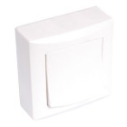 Bouton poussoir en saillie